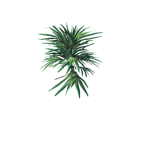Pointy PalmPlant03 AFS